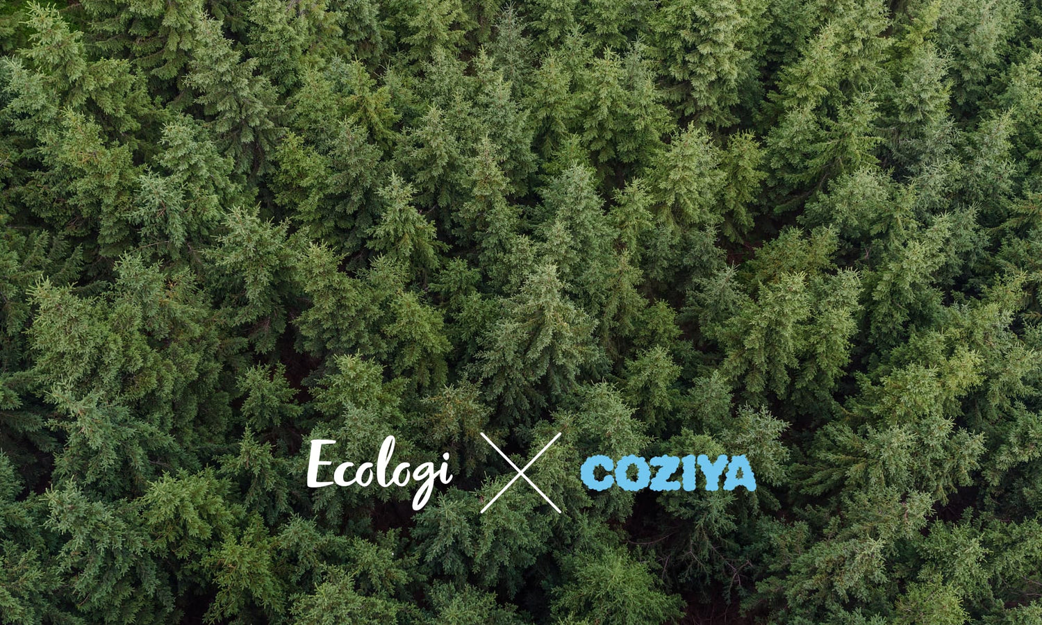 coziya_x_ecologi_matelas_gonflable_2