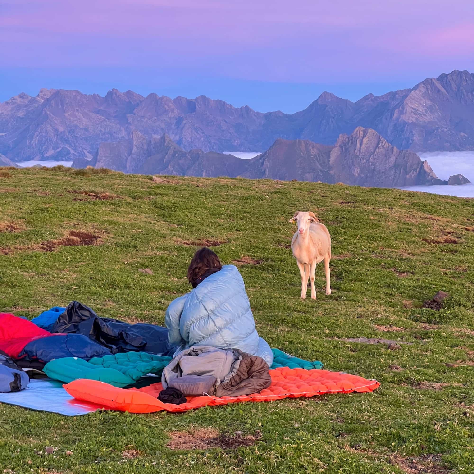 Matelas gonflable Coziya®